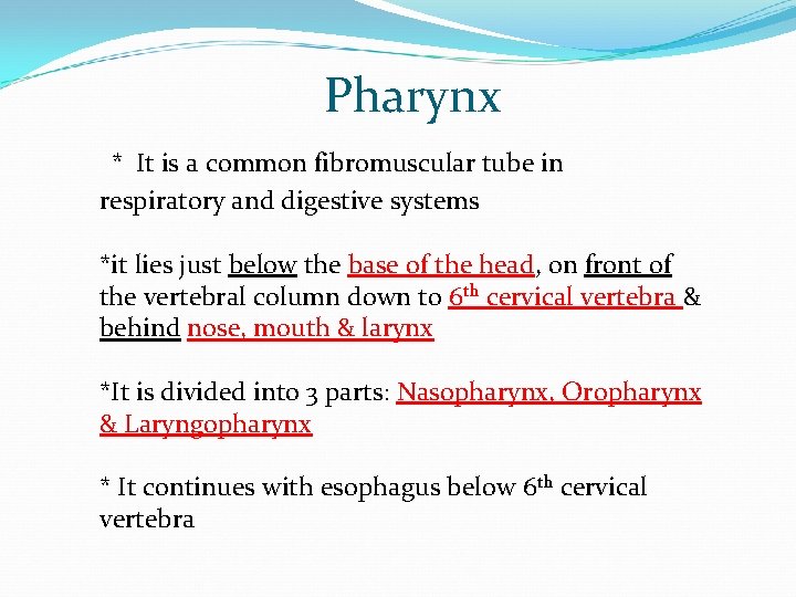 Pharynx * It is a common fibromuscular tube in respiratory and digestive systems *it
