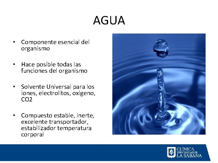 AGUA • Componente esencial del organismo • Hace posible todas las funciones del organismo