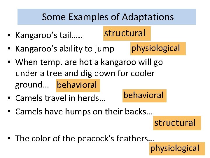 Some Examples of Adaptations structural • Kangaroo’s tail…. . physiological • Kangaroo’s ability to