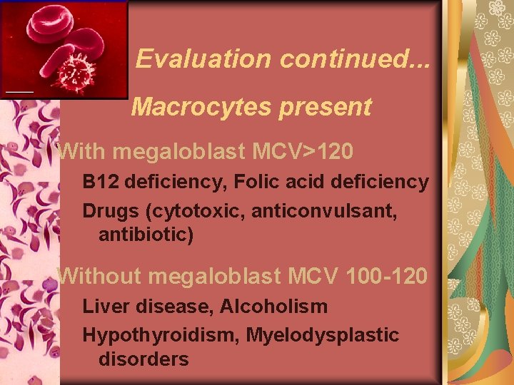 Evaluation continued. . . Macrocytes present With megaloblast MCV>120 B 12 deficiency, Folic acid