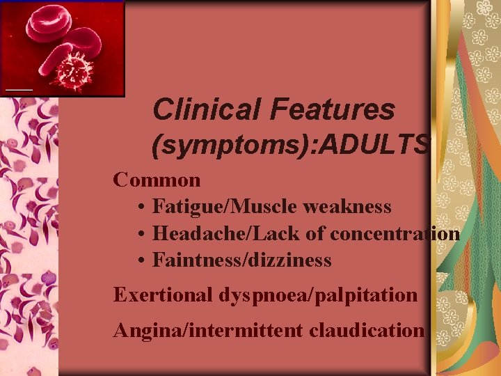 Clinical Features (symptoms): ADULTS Common • Fatigue/Muscle weakness • Headache/Lack of concentration • Faintness/dizziness