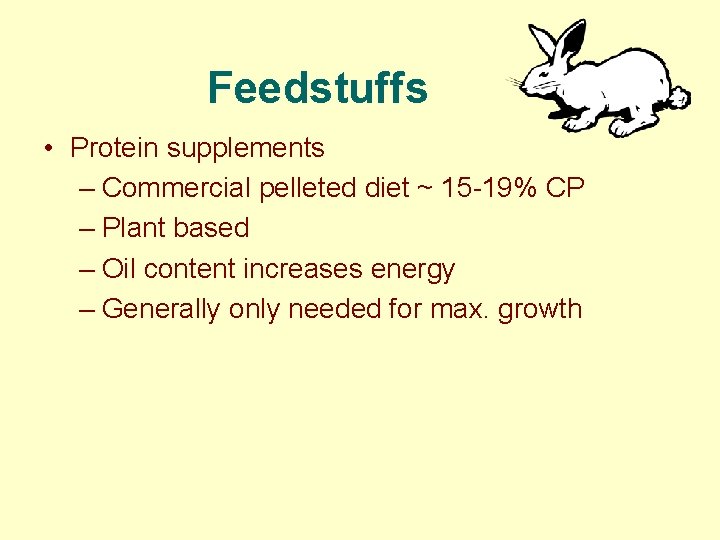 Feedstuffs • Protein supplements – Commercial pelleted diet ~ 15 -19% CP – Plant
