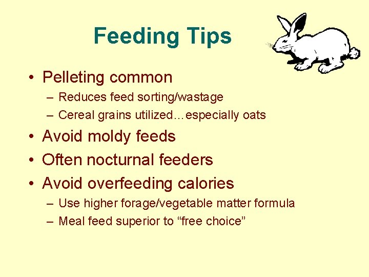 Feeding Tips • Pelleting common – Reduces feed sorting/wastage – Cereal grains utilized…especially oats