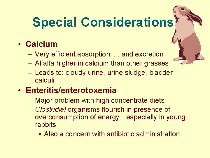 Special Considerations • Calcium – Very efficient absorption. . . and excretion – Alfalfa