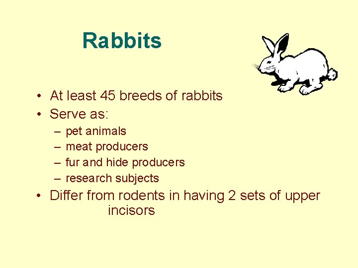 Rabbits • At least 45 breeds of rabbits • Serve as: – – pet