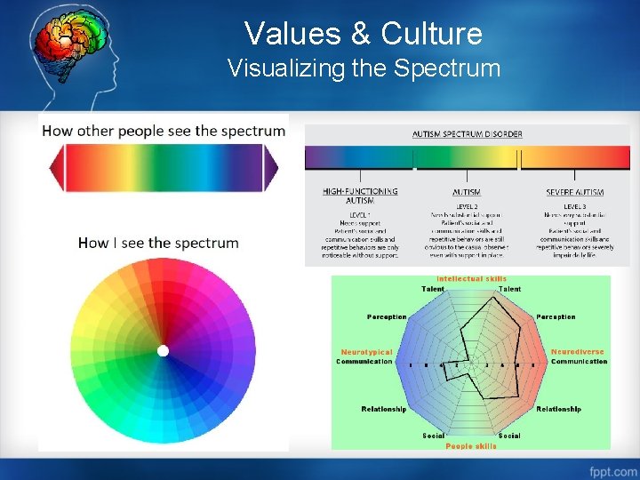 Values & Culture Visualizing the Spectrum 