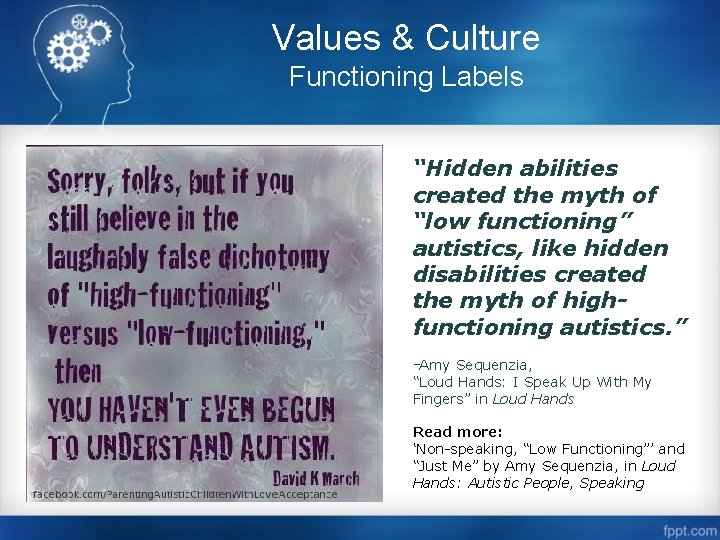 Values & Culture Functioning Labels “Hidden abilities created the myth of “low functioning” autistics,