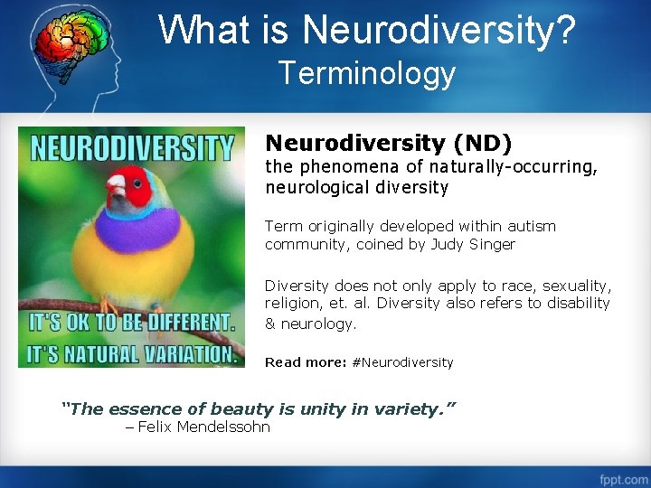 What is Neurodiversity? Terminology Neurodiversity (ND) the phenomena of naturally-occurring, neurological diversity Term originally