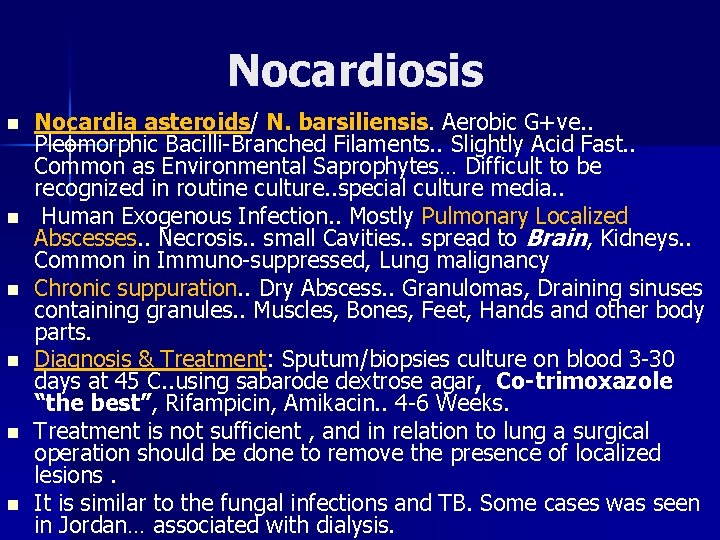 Nocardiosis n n n Nocardia asteroids/ N. barsiliensis. Aerobic G+ve. . Pleomorphic Bacilli-Branched Filaments.