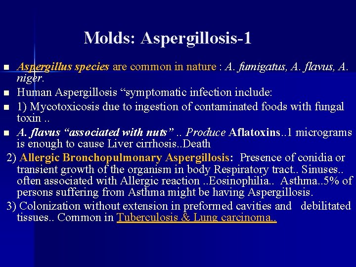 Molds: Aspergillosis-1 Aspergillus species are common in nature : A. fumigatus, A. flavus, A.