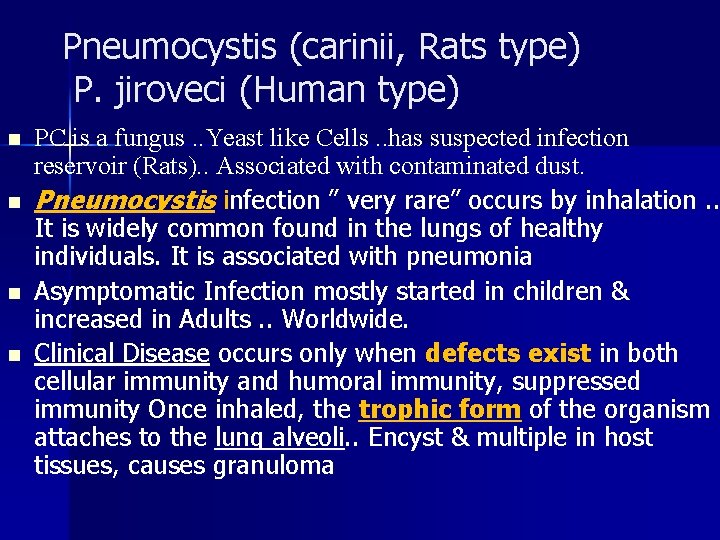 Pneumocystis (carinii, Rats type) P. jiroveci (Human type) n n PC is a fungus.