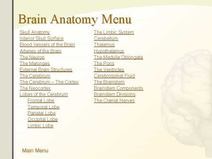 Brain Anatomy Menu Skull Anatomy Interior Skull Surface Blood Vessels of the Brain Arteries Brain Anatomy Menu Skull Anatomy Interior Skull Surface Blood Vessels of the Brain Arteries