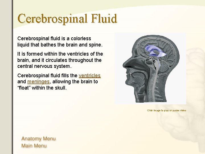 Cerebrospinal Fluid Cerebrospinal fluid is a colorless liquid that bathes the brain and spine.