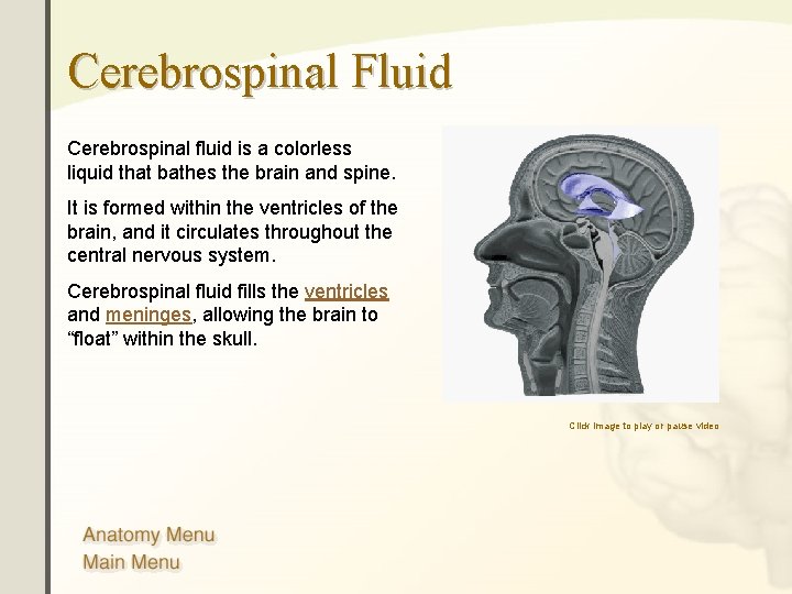 Cerebrospinal Fluid Cerebrospinal fluid is a colorless liquid that bathes the brain and spine. Cerebrospinal Fluid Cerebrospinal fluid is a colorless liquid that bathes the brain and spine.