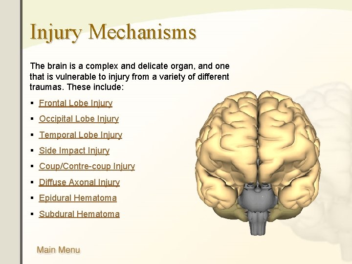 Injury Mechanisms The brain is a complex and delicate organ, and one that is