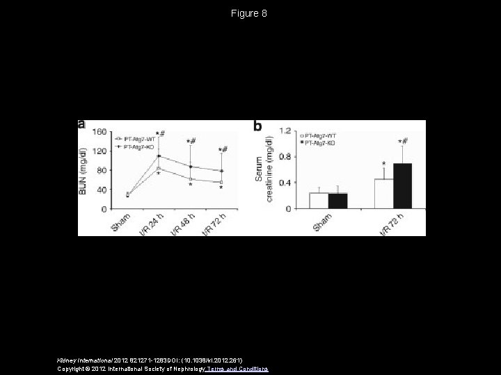 Figure 8 Kidney International 2012 821271 -1283 DOI: (10. 1038/ki. 2012. 261) Copyright ©