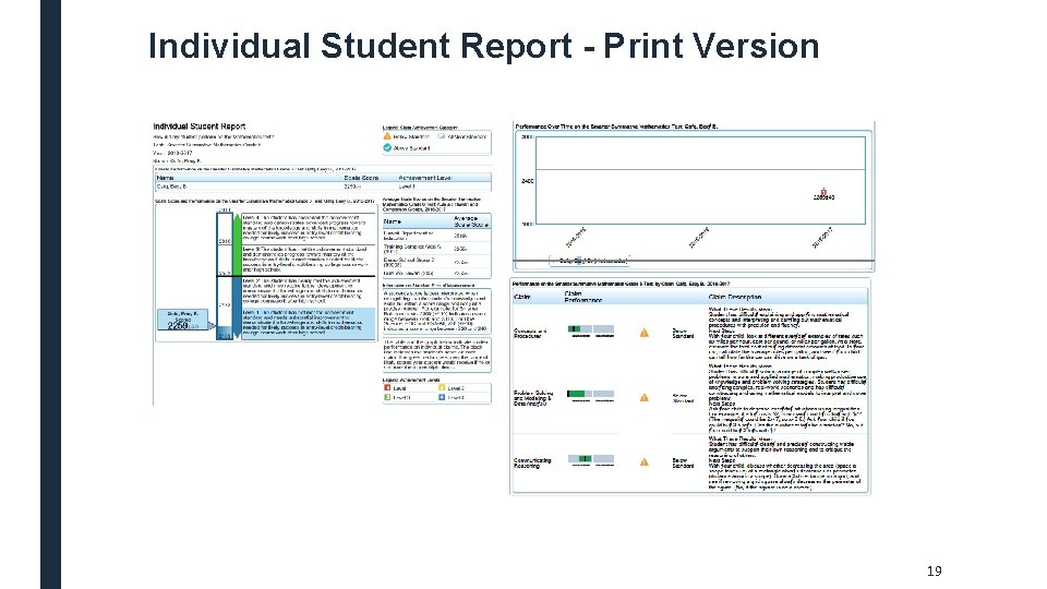 Individual Student Report - Print Version 19 