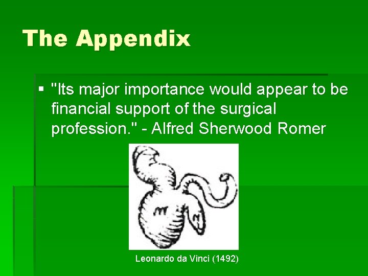 The Appendix § "Its major importance would appear to be financial support of the