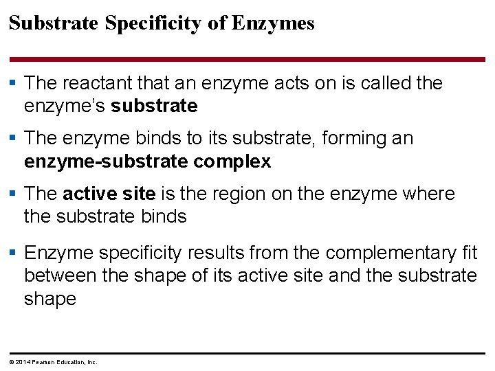 Substrate Specificity of Enzymes § The reactant that an enzyme acts on is called
