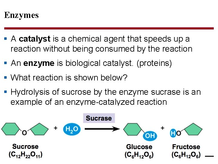 Enzymes § A catalyst is a chemical agent that speeds up a reaction without