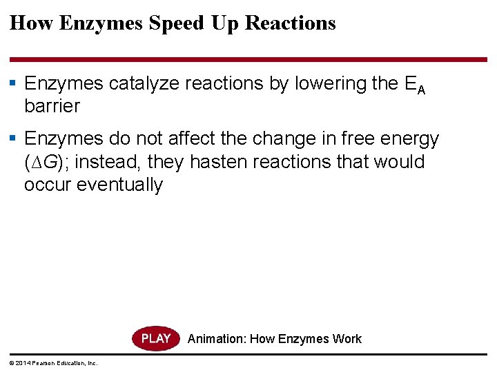 How Enzymes Speed Up Reactions § Enzymes catalyze reactions by lowering the EA barrier