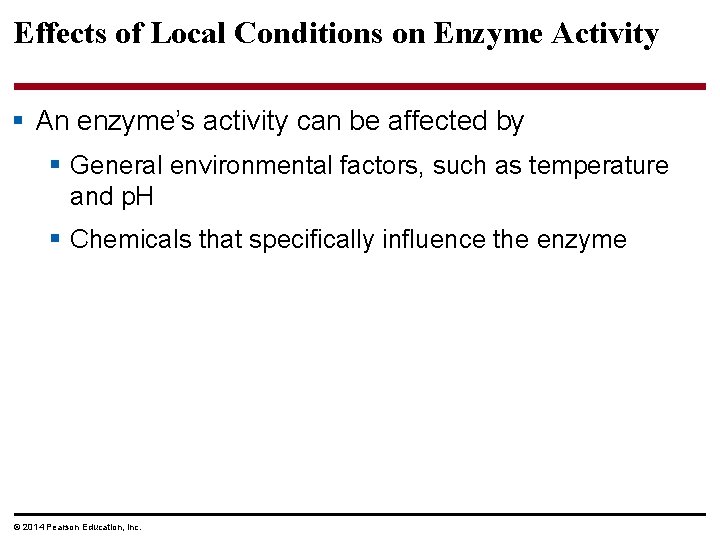 Effects of Local Conditions on Enzyme Activity § An enzyme’s activity can be affected