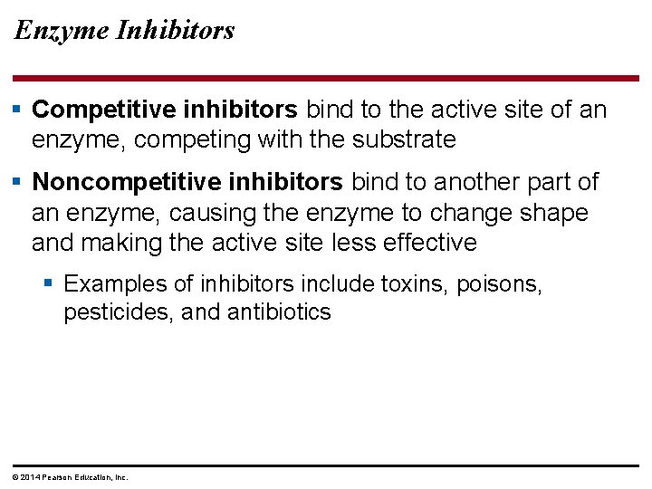 Enzyme Inhibitors § Competitive inhibitors bind to the active site of an enzyme, competing