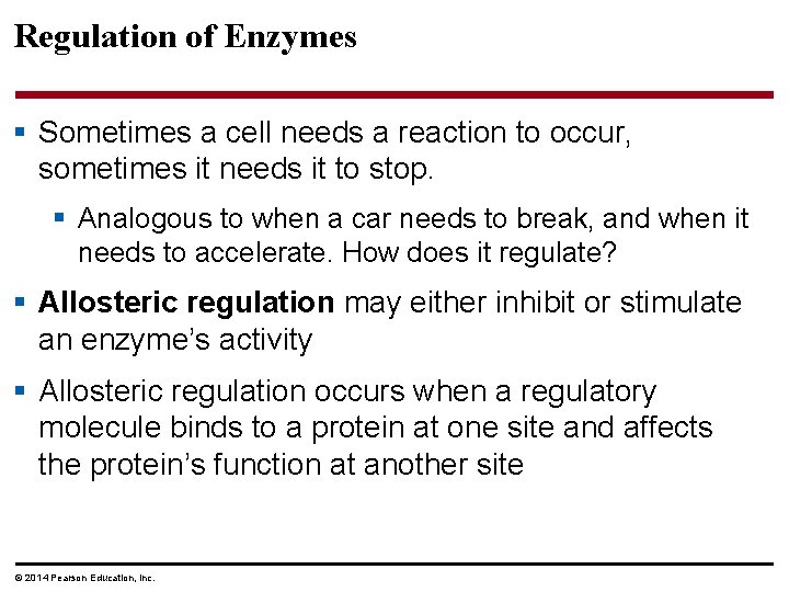 Regulation of Enzymes § Sometimes a cell needs a reaction to occur, sometimes it