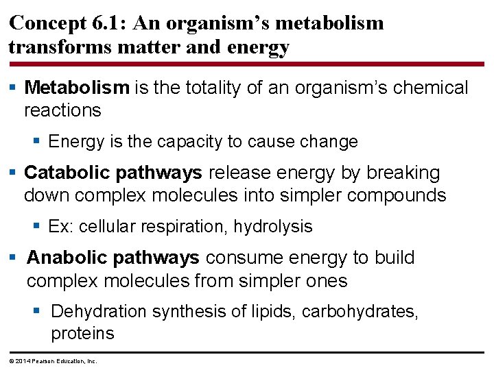 Concept 6. 1: An organism’s metabolism transforms matter and energy § Metabolism is the