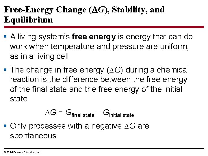 Free-Energy Change ( G), Stability, and Equilibrium § A living system’s free energy is