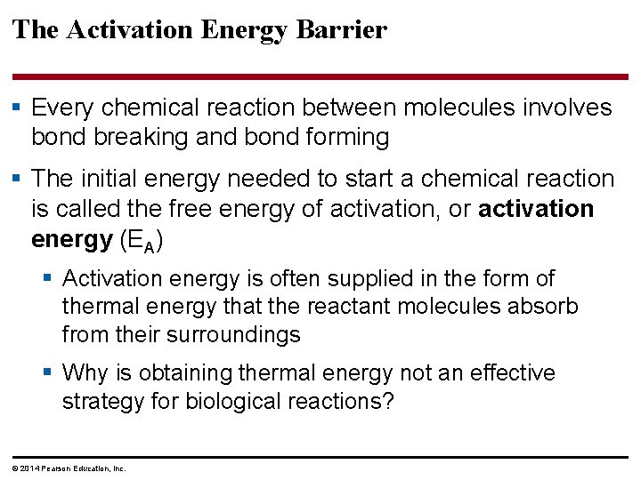 The Activation Energy Barrier § Every chemical reaction between molecules involves bond breaking and