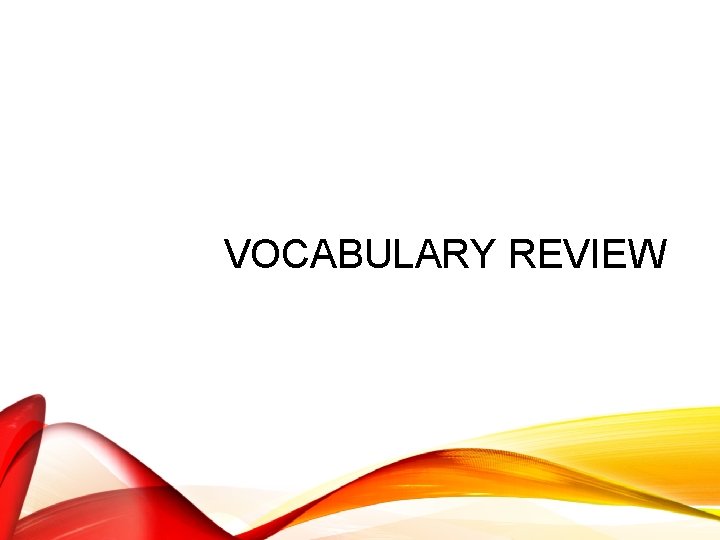 VOCABULARY REVIEW 