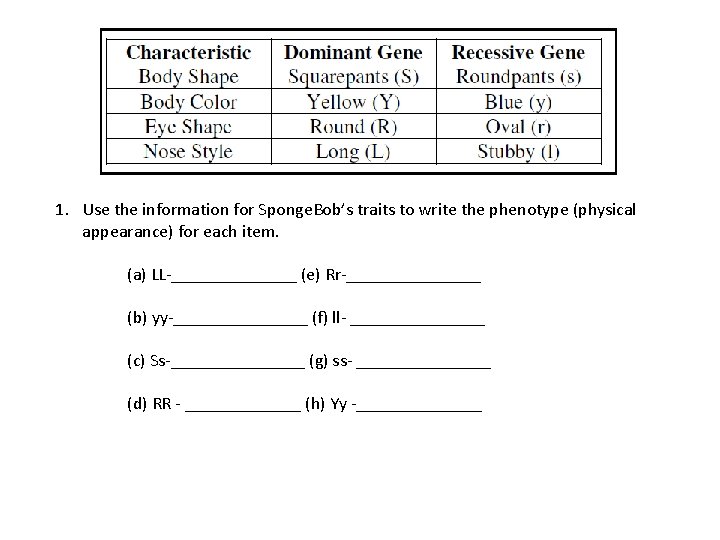 1. Use the information for Sponge. Bob’s traits to write the phenotype (physical appearance)