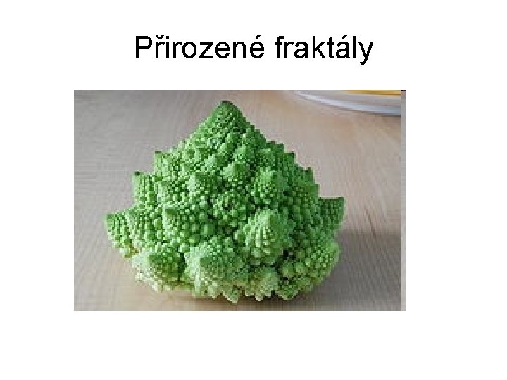 Přirozené fraktály 