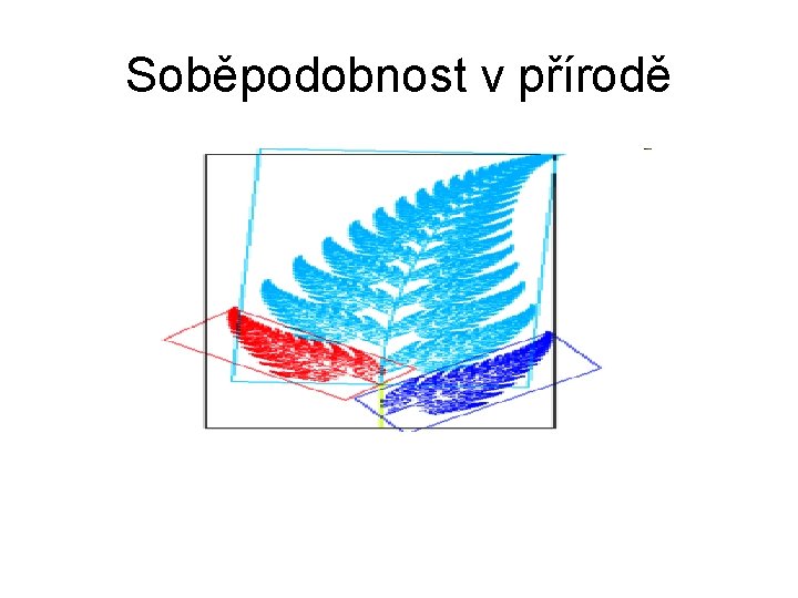 Soběpodobnost v přírodě 