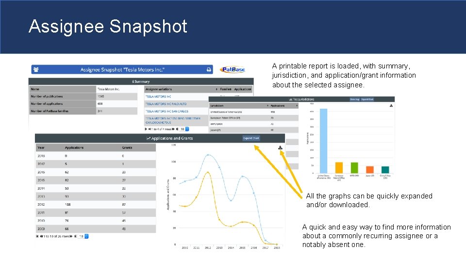 Assignee Snapshot A printable report is loaded, with summary, jurisdiction, and application/grant information about