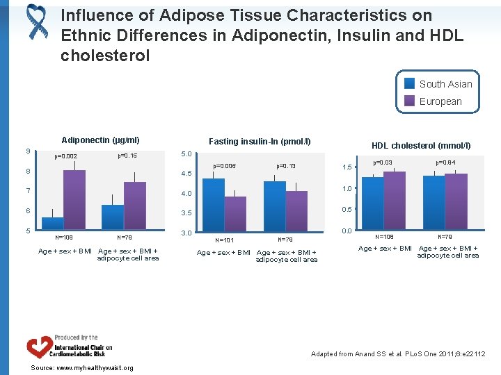 Influence of Adipose Tissue Characteristics on Ethnic Differences in Adiponectin, Insulin and HDL cholesterol