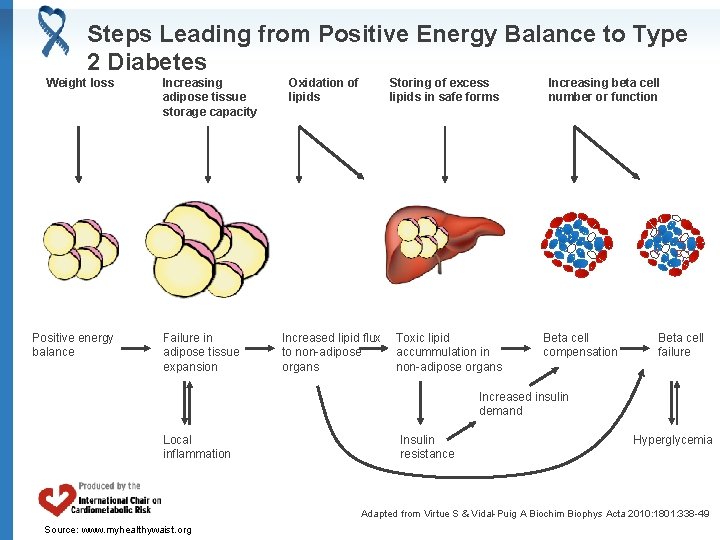 Steps Leading from Positive Energy Balance to Type 2 Diabetes Weight loss Positive energy