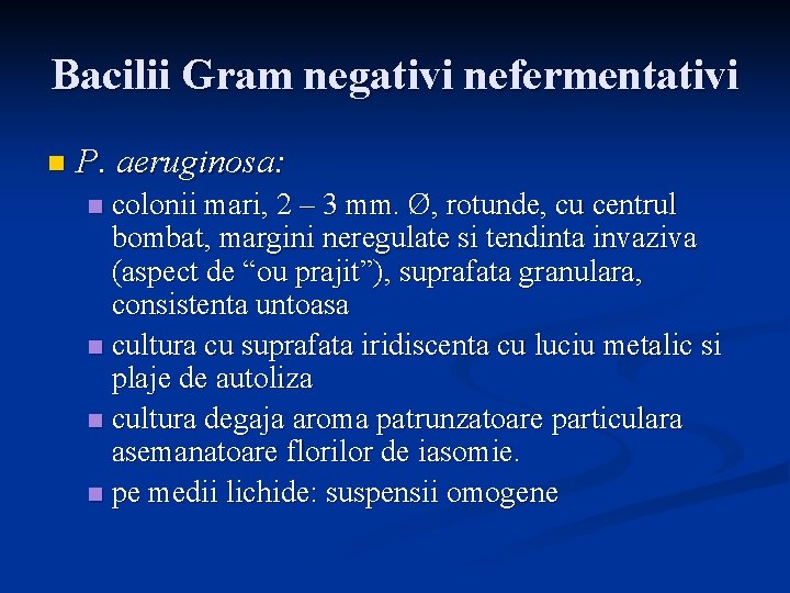 Bacilii Gram negativi nefermentativi n P. aeruginosa: colonii mari, 2 – 3 mm. Ø,