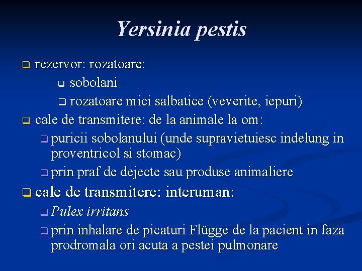 Yersinia pestis rezervor: rozatoare: q sobolani q rozatoare mici salbatice (veverite, iepuri) q cale