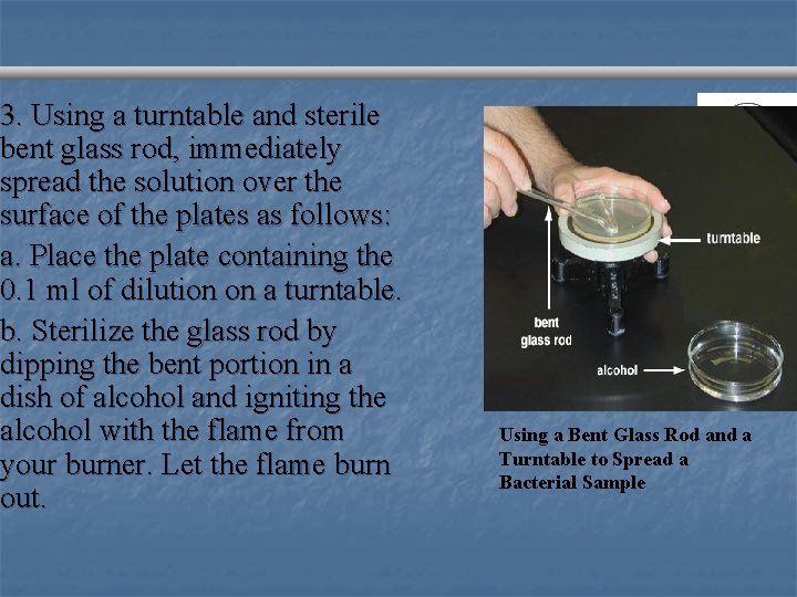 3. Using a turntable and sterile bent glass rod, immediately spread the solution over