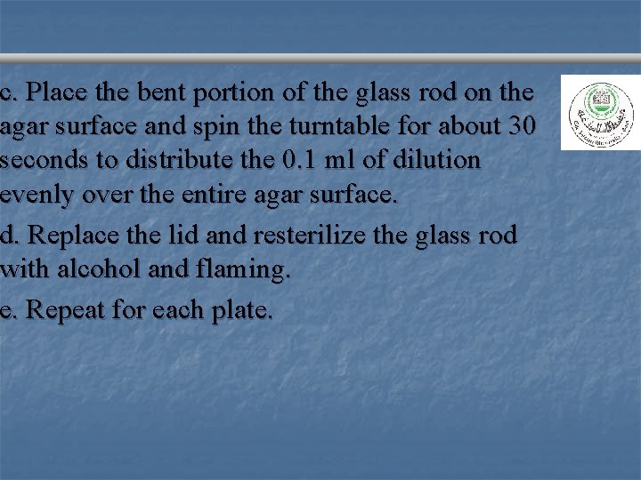 c. Place the bent portion of the glass rod on the agar surface and