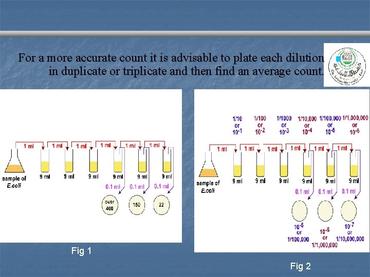 For a more accurate count it is advisable to plate each dilution in duplicate