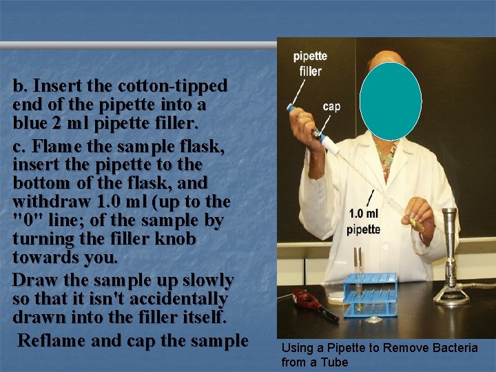 b. Insert the cotton-tipped end of the pipette into a blue 2 ml pipette
