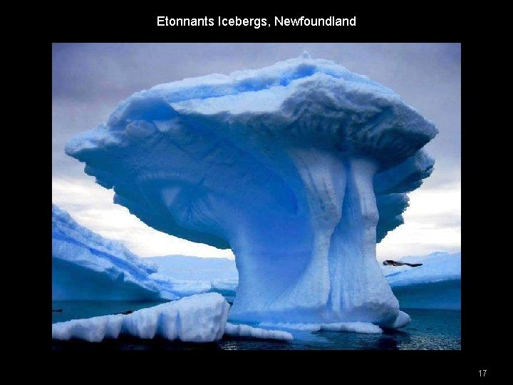 Etonnants Icebergs, Newfoundland 17 