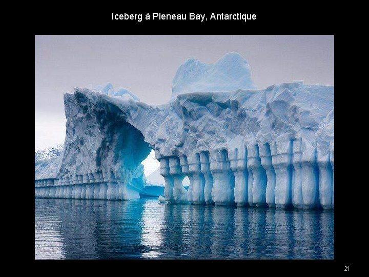 Iceberg à Pleneau Bay, Antarctique 21 