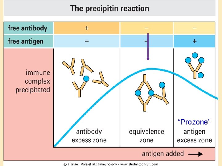 “Prozone” 