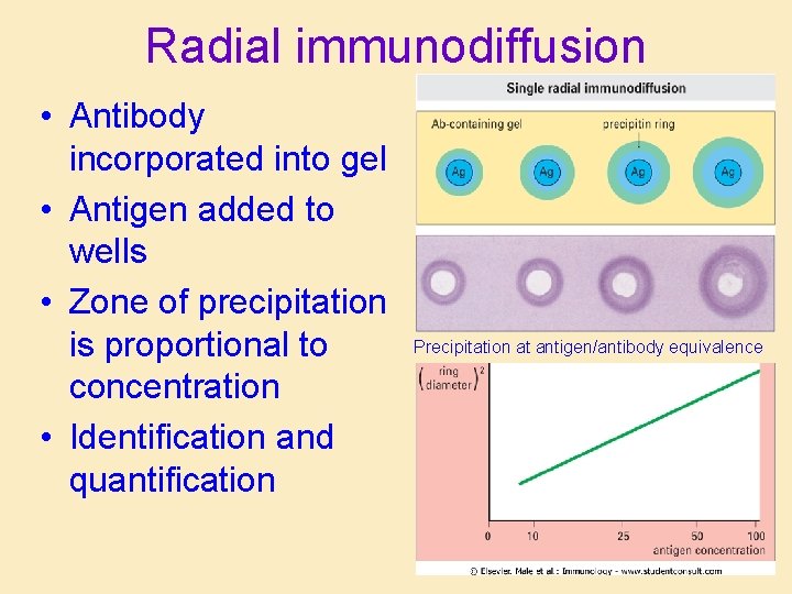 Radial immunodiffusion • Antibody incorporated into gel • Antigen added to wells • Zone