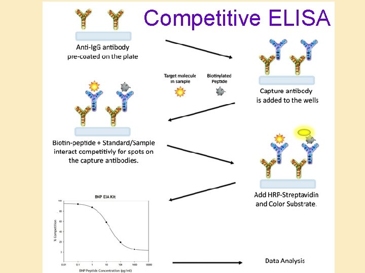 Competitive ELISA 