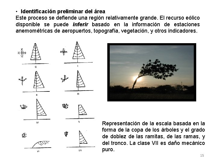  • Identificación preliminar del área Este proceso se defiende una región relativamente grande.